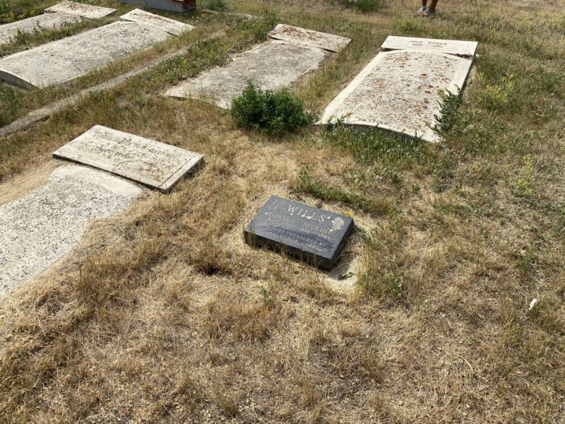 tokleywillsgravesclimax.jpg